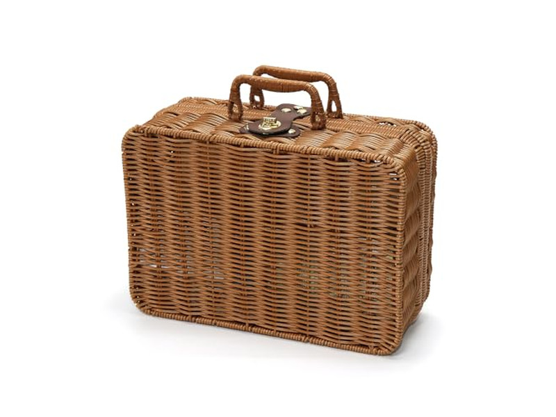 Lila Geflochtener Picknickkorb Ein Person Tragbare Decke Bambus Leer Modern