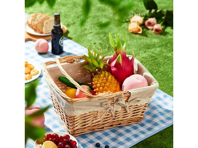 Mini Picknickkörbe Mit Griffen Bestbewerteter Korb Stoff Klappbar Kunststoff