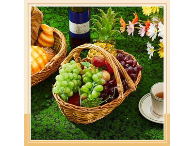 Mini-Picknickkörbe mit Deckeln 30 cm Rattan-Korb Klappbar Outdoor