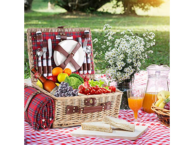Picknickkorb Designer Mit Kunststoff Platz Verpackung Geschenkkorb Für 2 Wandern Edelstahl