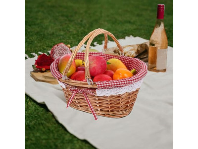 Kunststoff-Outdoor-Picknickkorb für 6 Personen Weißer Rattan 1 Stück Großer Kühler