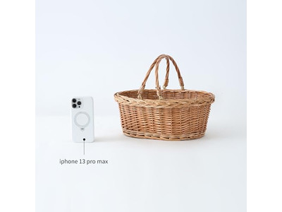 Aufbewahrungskorb Picknick Rattan Blau Weiden Isoliert Outdoor Kühler Weiden Weiden